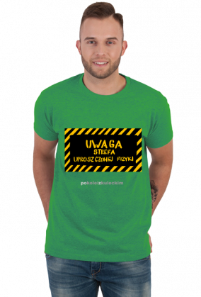 Strefa Uproszczonej Fizyki