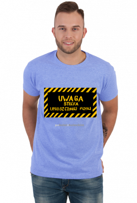 Strefa Uproszczonej Fizyki