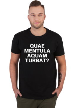 ki *uj wodę mąci?