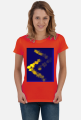 Koszulka Runa Jera, Mitologia Nordycka