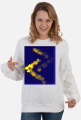 Bluza Runa Jera, Mitologia Nordycka