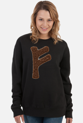 Bluza Runa Fehu, Mitologia Nordycka