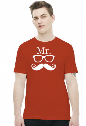 Mr. - T-shirt męski (11 kolorów)