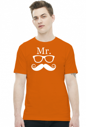 Mr. - T-shirt męski (11 kolorów)