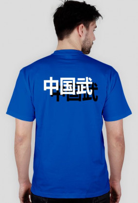 Chińskie sztuki walki. Wushu.