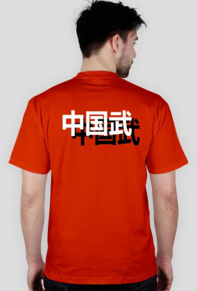 Chińskie sztuki walki. Wushu.