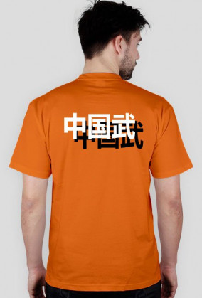 Chińskie sztuki walki. Wushu.