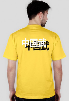 Chińskie sztuki walki. Wushu.