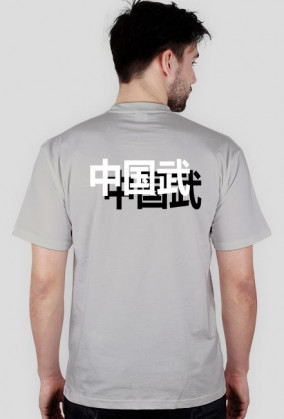 Chińskie sztuki walki. Wushu.