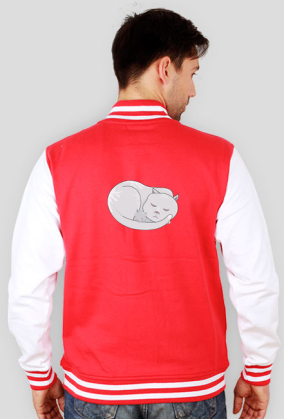 Bluza Męska Varsity Jacket – kotki