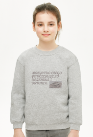 Bluza