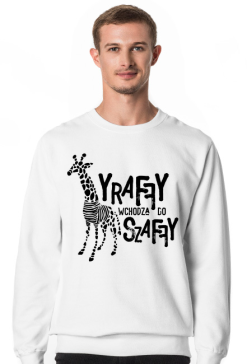 Żyraffy wchodzą do Szaffy