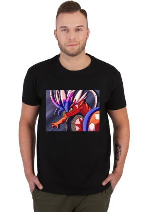 Pokemon Koraidon