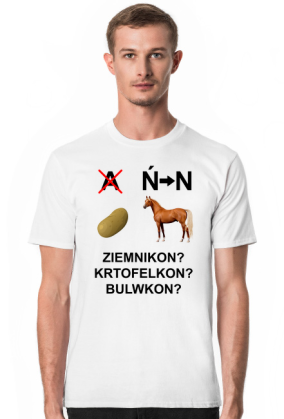 pyrkon rebus