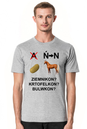 pyrkon rebus