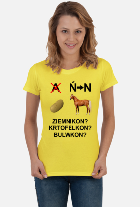 pyrkon rebus