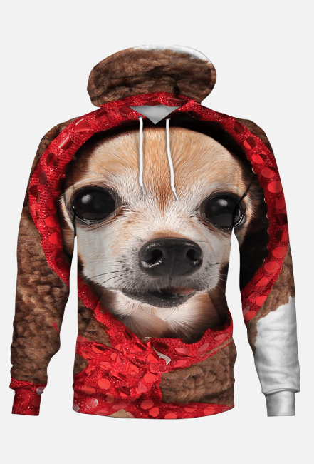 Piesek obserwator 360