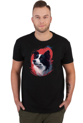 Border Collie Dog
