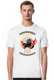 Fast Cat