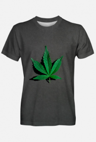 marihuana, weed, cannabis, thc, marijuana, 420