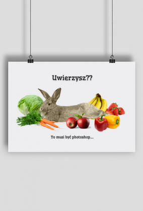 Tabliczka "Uwierzysz??"