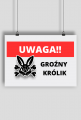 Tabliczka "Uwaga groźny królik"