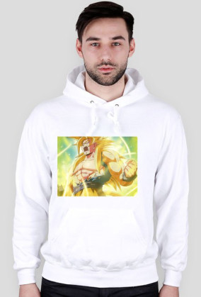 ssj5