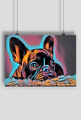 Plakat Buldok Francuski