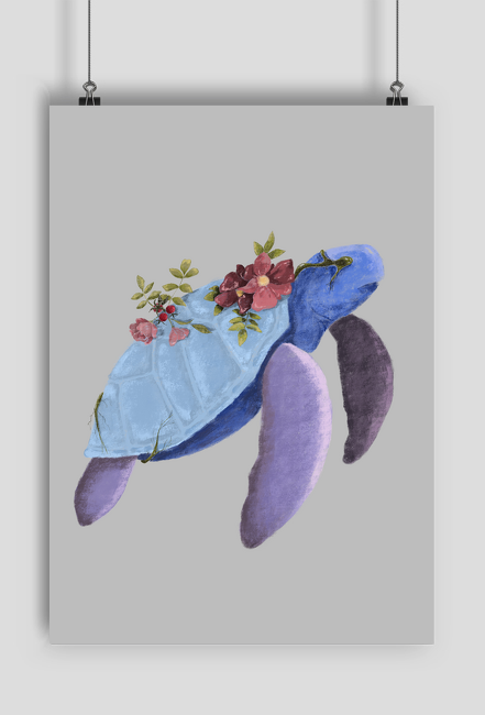 Plakat Turtle