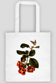 Torba z kwiatem japońskiej jabłoni