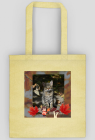 Torba jesienny kotek