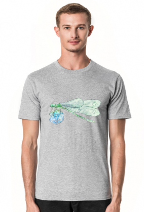 Dragonfly on Dice RPG