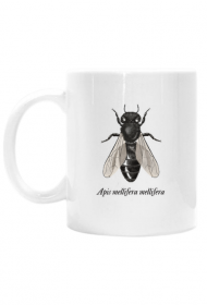 Apis m. mellifera - ciemna pszczoła