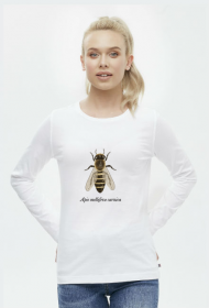 Apis m. carnica - pszczoła kraińska