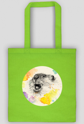 Torba z grafiką Magdaleny Dukaczewskiej