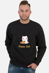 Pizza Cat