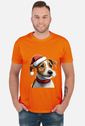 Jack Russell Terrier