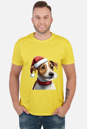 Jack Russell Terrier