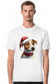 Jack Russell Terrier
