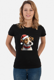 Jack Russell Terrier