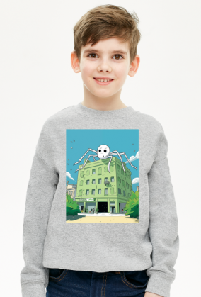 Spider climbing the building