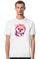 Pomeranian Astronauta