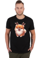 Reinfer Pomeranian
