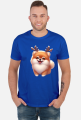 Reinfer Pomeranian
