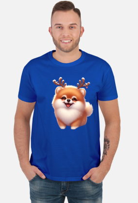 Reinfer Pomeranian