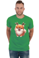 Reinfer Pomeranian