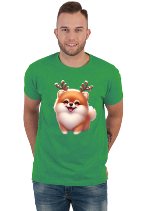 Reinfer Pomeranian