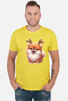 Reinfer Pomeranian