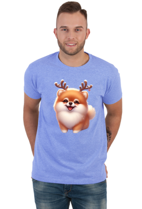 Reinfer Pomeranian