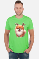 Reinfer Pomeranian
